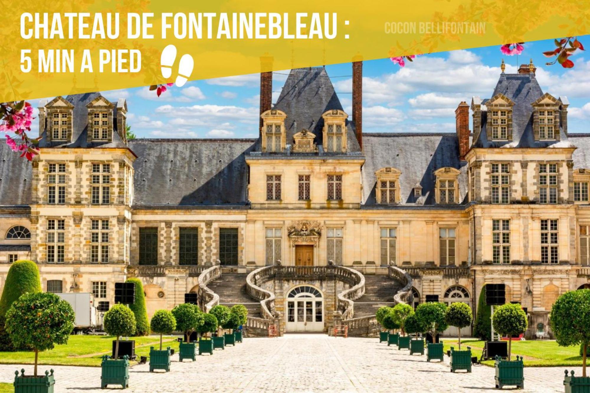 Le Cocon Royal De Fontainebleau - Centre-Ville #Insead #Chateau Exterior photo